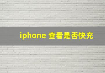 iphone 查看是否快充